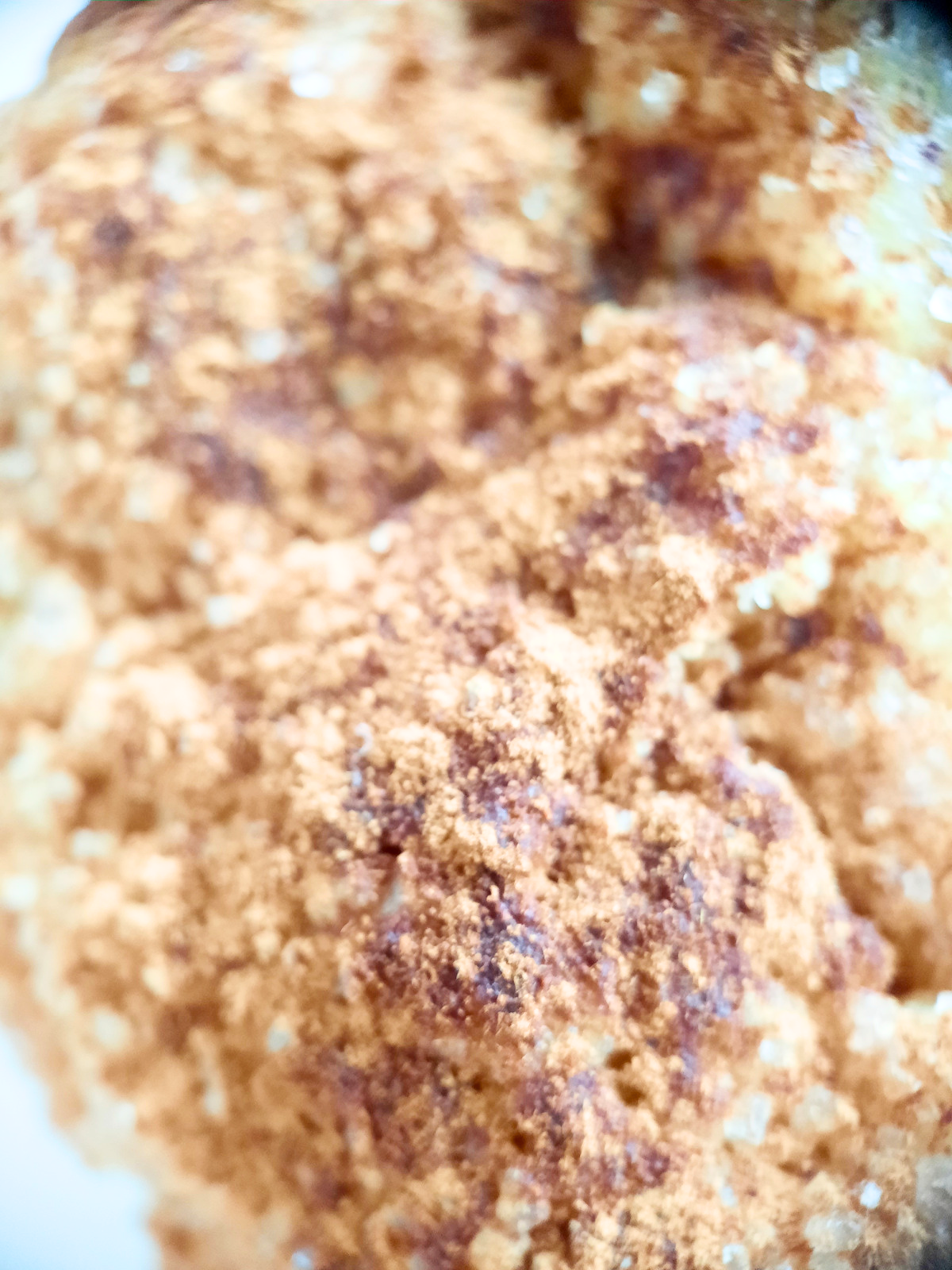 Ambachtelijke Appelkoek, kaneel korst