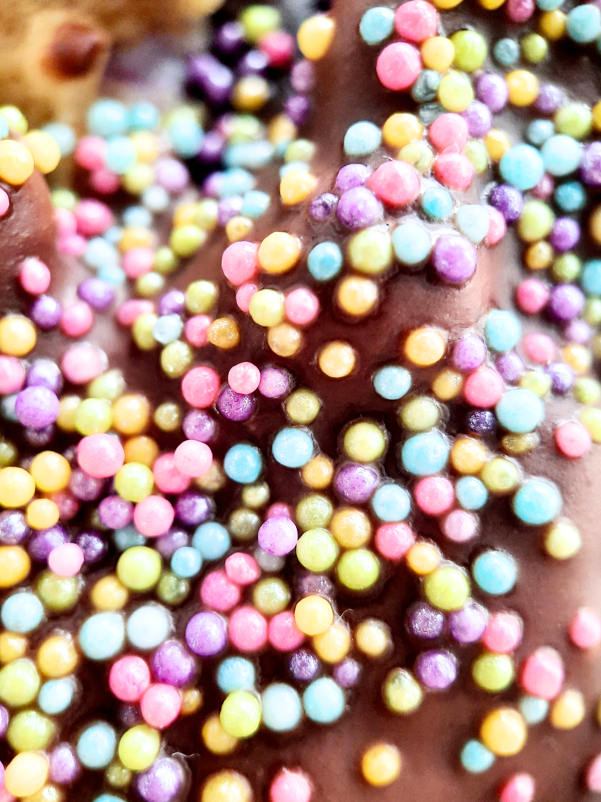 Deze duurzame koek met een chocolade vulling van vegan &